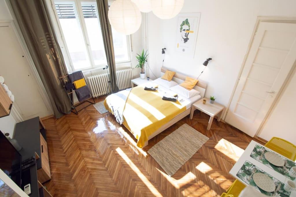 Pavla Papa Studio - Bright & Central Apartman Újvidék Kültér fotó